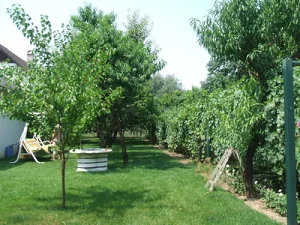 Abádszalók apartman kiadó