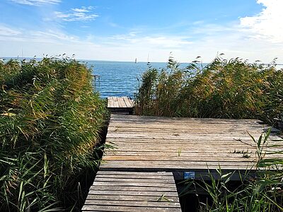 8226 Alsóörs Blaha Lujza utca 14. apartman szállás