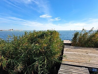 8226 Alsóörs Blaha Lujza utca 14. apartman szállás