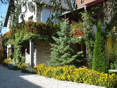 Bakonybél apartman kiadó