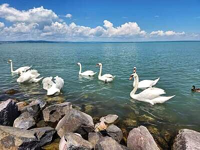 8220 Balatonalmádi Veszprémi ut apartman szállás