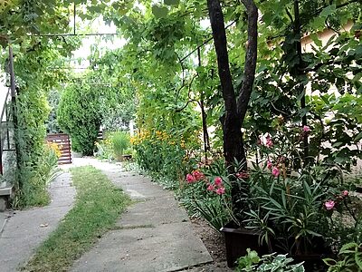 8220 Balatonalmádi Veszprémi ut apartman szállás