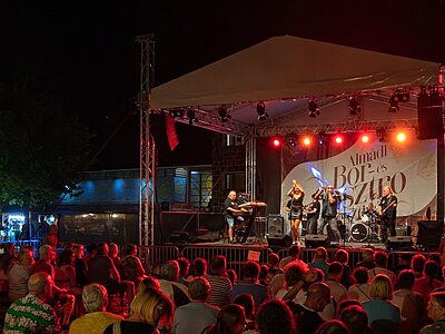 8220 Balatonalmádi Déryné u.4 apartman szállás