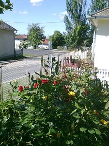 Balatonboglár apartman kiadó