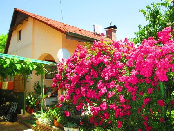 Balatonboglár apartman kiadó