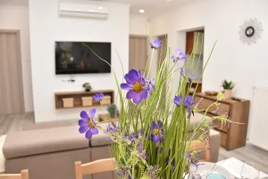 Balatonfűzfő apartman kiadó