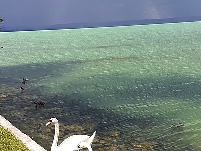 8638 Balatonlelle Fogas u 4.  apartman szállás
