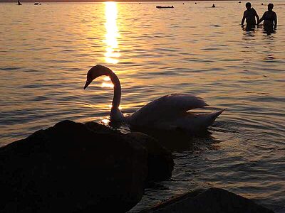 8638 Balatonlelle Napsugár utca 1. apartman szállás