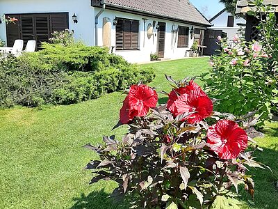8624 Balatonszárszó Szóládi u. apartman szállás