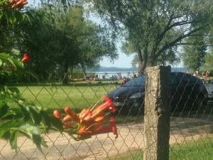Balatonszárszó apartman kiadó