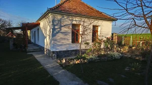 Bazsi apartman kiadó