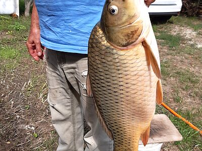 5561 Békésszentandrás Stefánia sor 10. apartman szállás