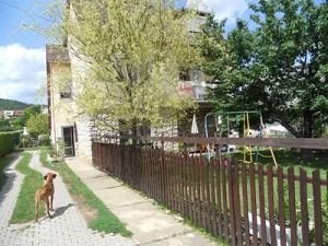 Csopak apartman kiadó