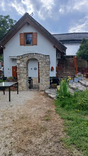 Csopak apartman kiadó