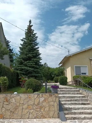 Csopak apartman kiadó