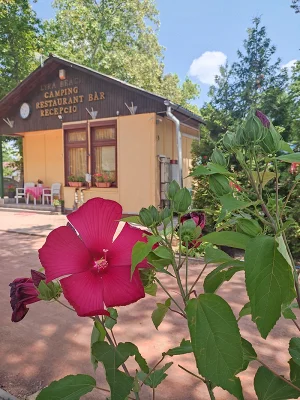 Debrecen apartman kiadó