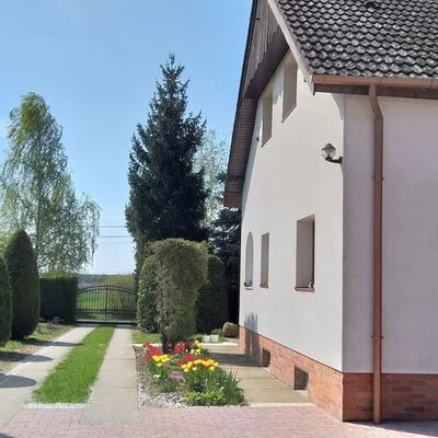 Diósviszló apartman kiadó