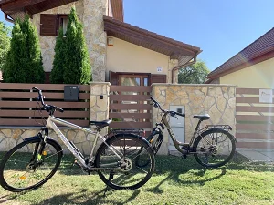 Dunapataj apartman kiadó