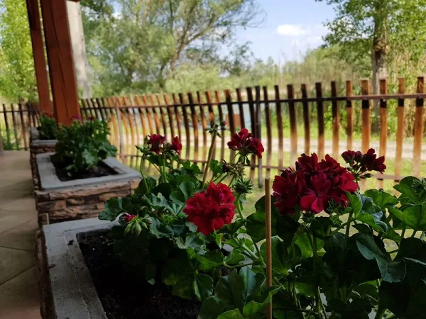 Fadd apartman kiadó