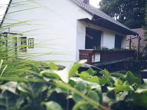 Farkasgyepű apartman kiadó