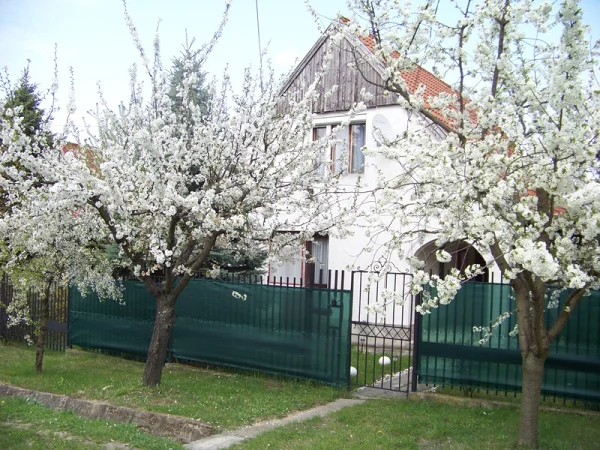 Fertőhomok apartman kiadó