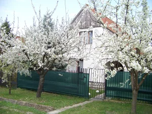 Fertőhomok apartman kiadó