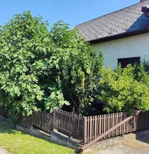 Fonyód apartman kiadó