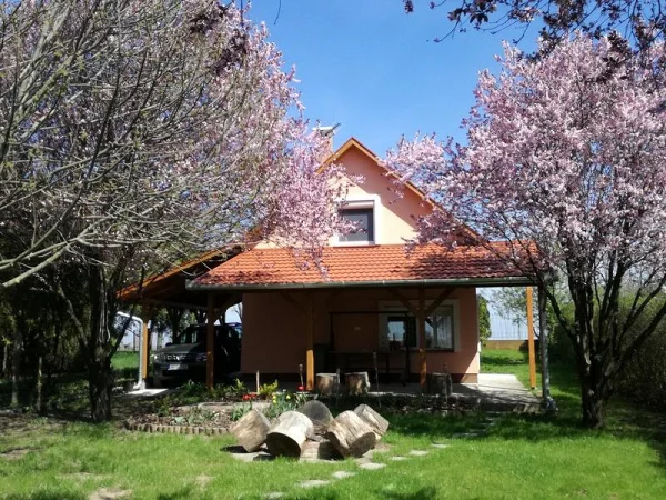 Gyomaendrőd apartman kiadó