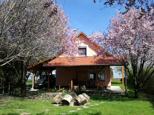 Gyomaendrőd apartman kiadó