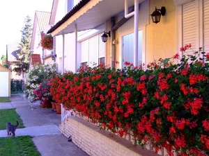 Hajdúszoboszló apartman kiadó