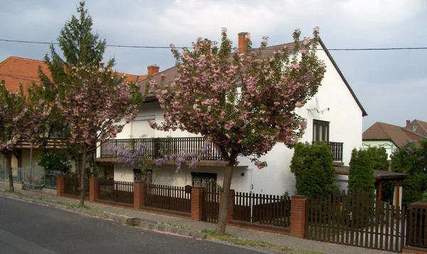 Hévíz apartman kiadó