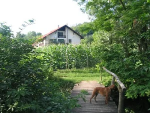 Jásd apartman kiadó