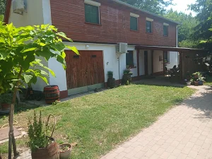 Kerekegyháza apartman kiadó