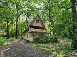 Kismaros apartman kiadó