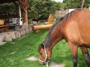 Kisnána apartman kiadó