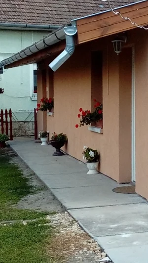 Makó apartman kiadó