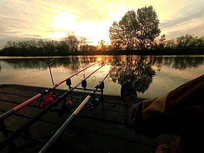 Mezőtúr apartman kiadó