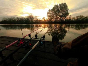 Mezőtúr apartman kiadó