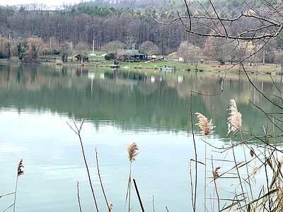 7677 Orfű Dollár út 3 fsz. apartman szállás