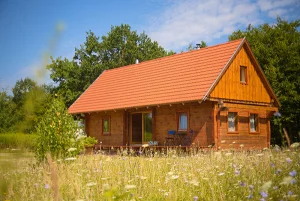 Őriszentpéter apartman kiadó