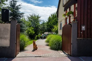 Paks apartman kiadó