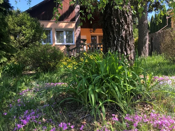 Parád apartman kiadó