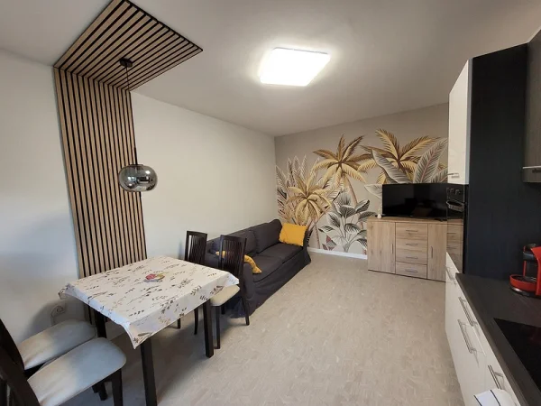 Pécs apartman kiadó