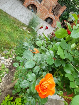 Sárospatak apartman kiadó