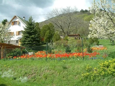 Sátoraljaújhely apartman kiadó