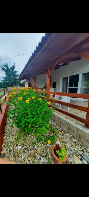 Soltvadkert apartman kiadó