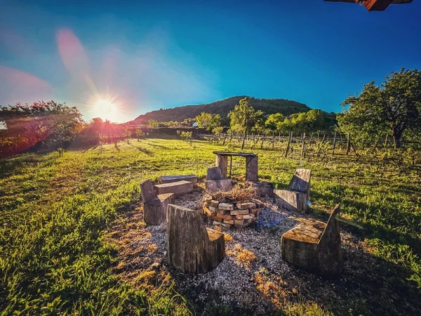 Somlószőlős apartman kiadó