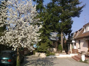 Sopron apartman kiadó