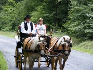 Szalafő apartman kiadó