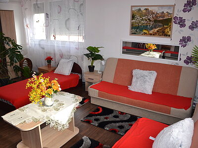 2067 Szárliget Ady Endre 33-35 apartman szállás